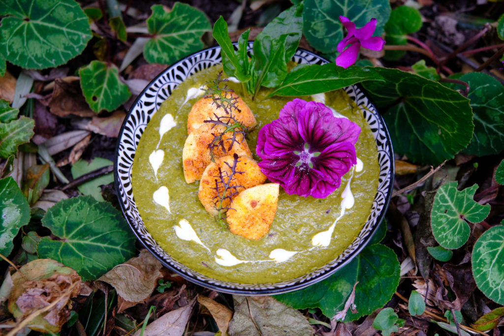 palak-paneer