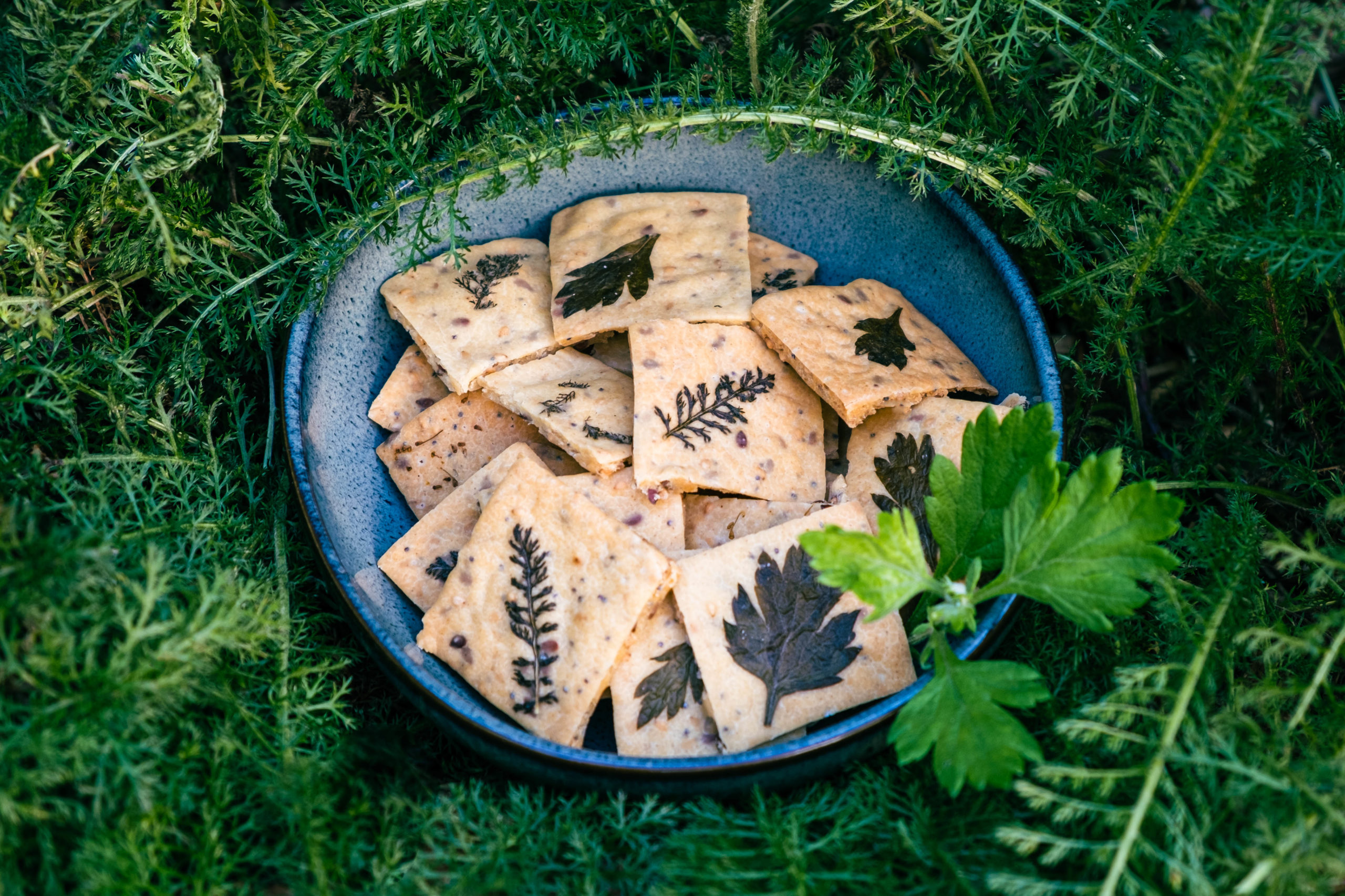 crackers-achillée-millefeuilles
