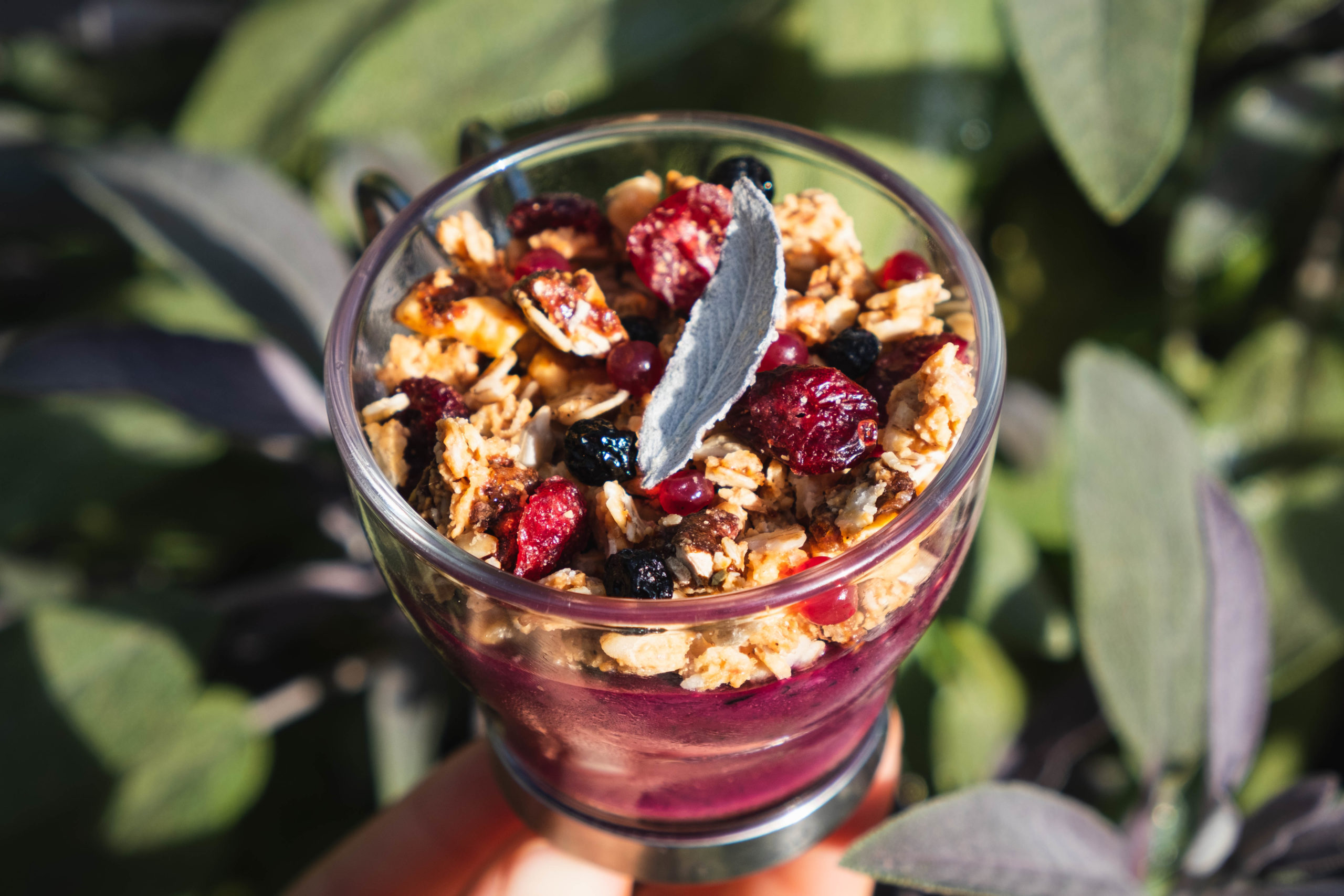 mousse-myrtille-sauge